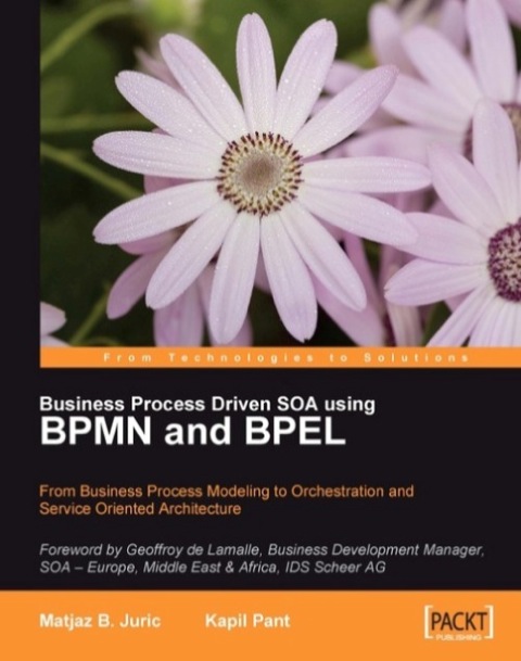 Cover image for book Business Process Driven SOA using BPMN and BPEL