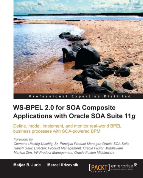 Cover image for book WS-BPEL 2.0 for SOA Composite Applications with Oracle SOA Suite 11g