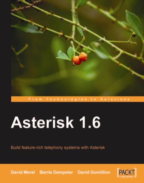 Cover image for book Asterisk 1.6