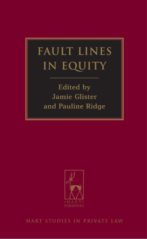 Cover image for book Fault Lines in Equity