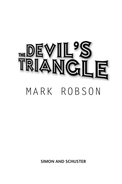 Cover image for book The Devil's Triangle