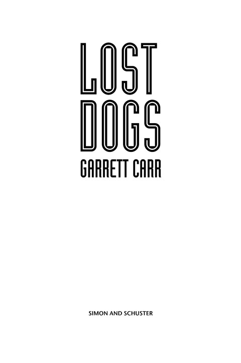 Cover image for book Lost Dogs
