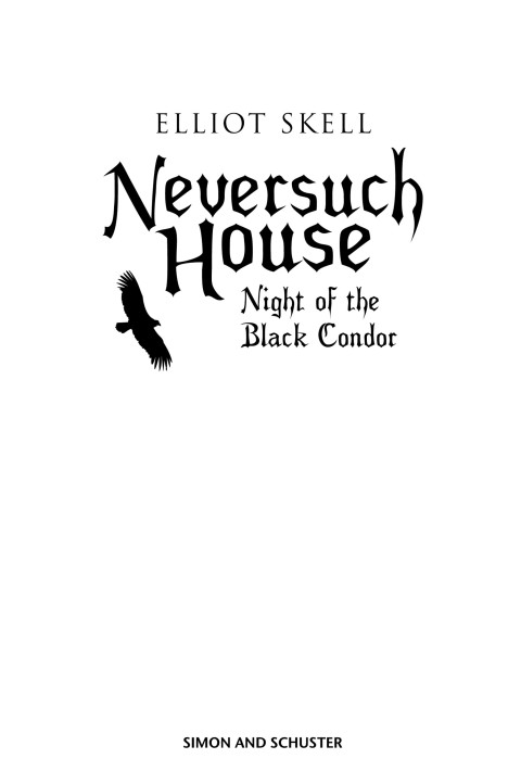 Cover image for book Neversuch House