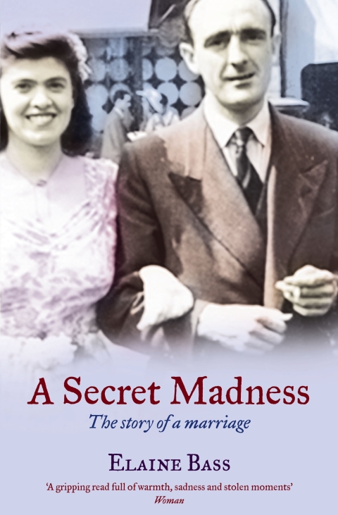 Cover image for book A Secret Madness