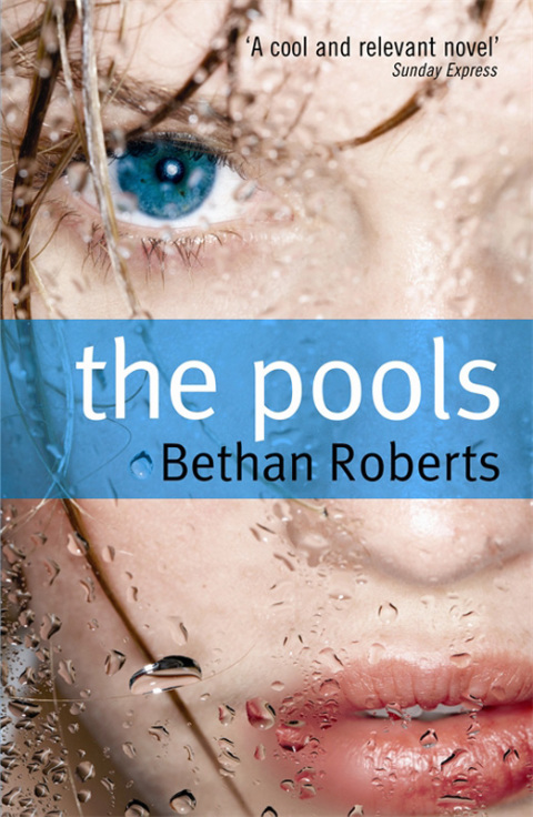Cover image for book The Pools