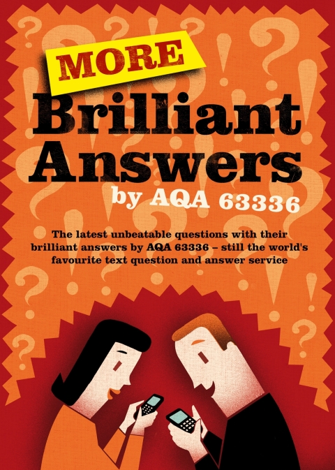 Cover image for book More Brilliant Answers