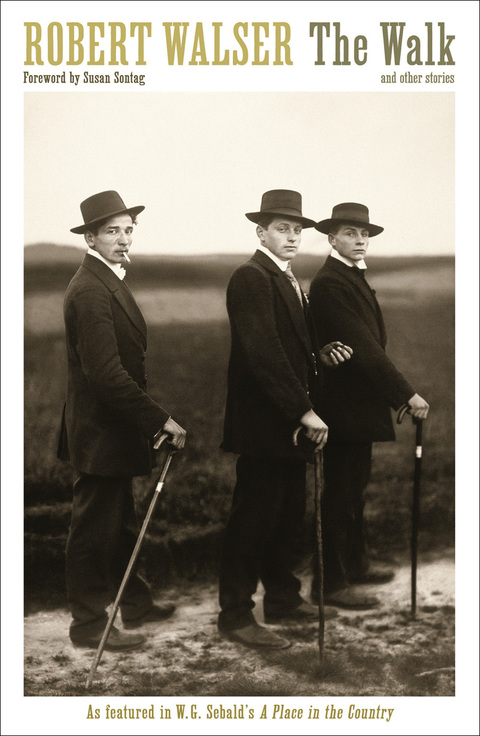 Cover image for book The Walk