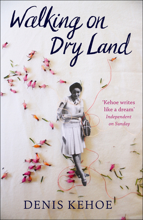 Cover image for book Walking on Dry Land
