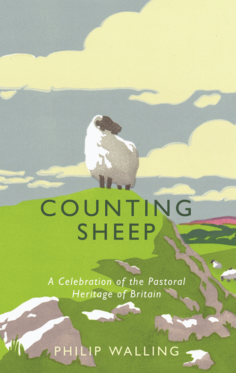 Cover image for book Counting Sheep