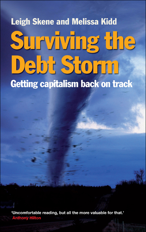 Cover image for book Surviving the Debt Storm