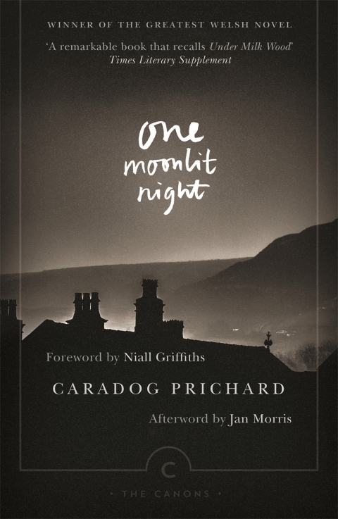 Cover image for book One Moonlit Night