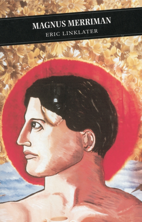 Cover image for book Magnus Merriman
