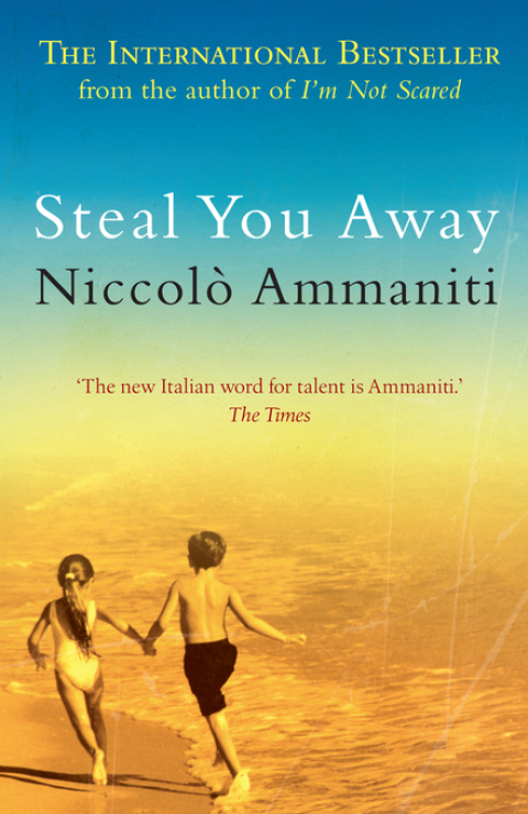 Cover image for book Steal You Away