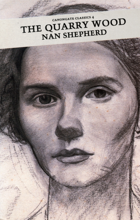 Cover image for book The Quarry Wood