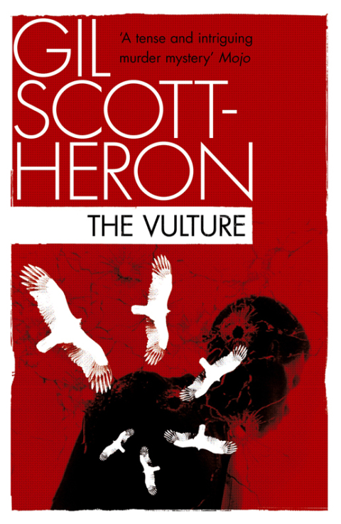 Cover image for book The Vulture
