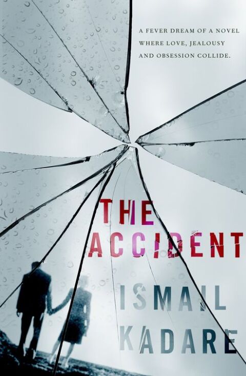 Cover image for book The Accident