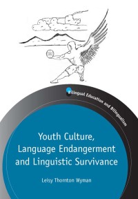 Omslagafbeelding: Youth Culture, Language Endangerment and Linguistic Survivance 1st edition 9781847697394