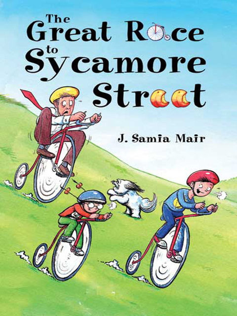 Cover image for book The Great Race to Sycamore Street