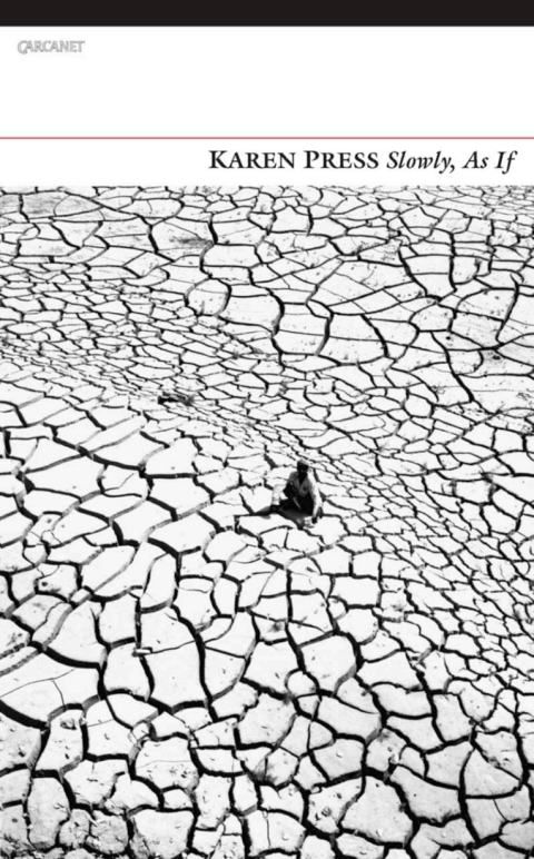 Cover image for book Slowly, As If