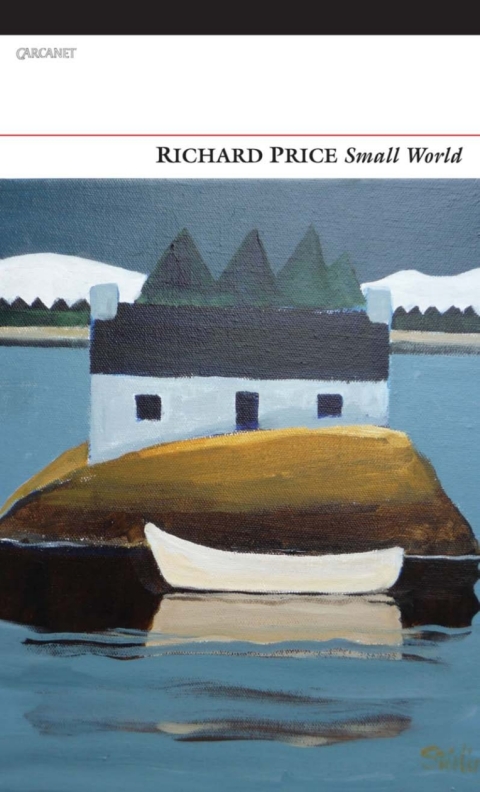 Cover image for book Small World