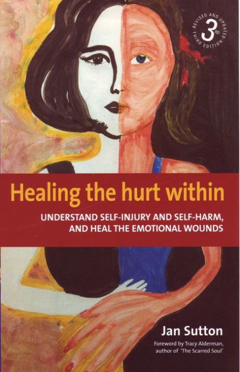 Cover image for book Healing the Hurt Within 3rd Edition