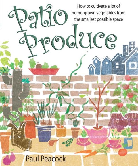 Cover image for book Patio Produce