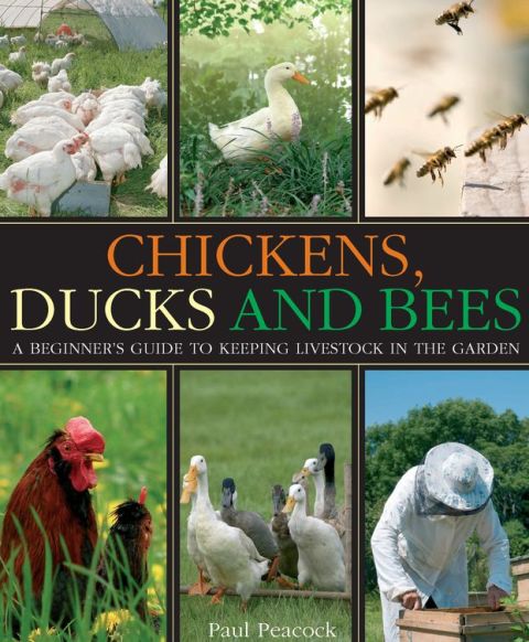 Cover image for book Chickens, Ducks and Bees