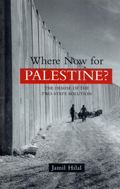 Cover image for book Where Now for Palestine?