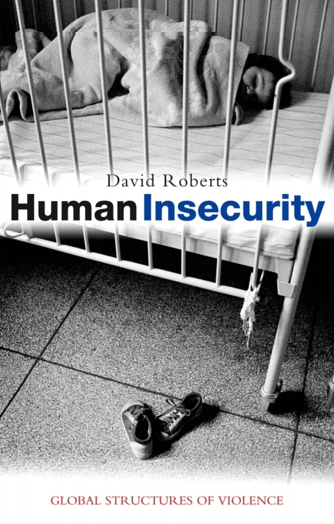 Cover image for book Human Insecurity