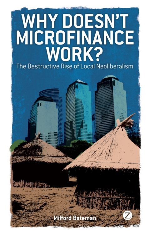 Cover image for book Why Doesn't Microfinance Work?