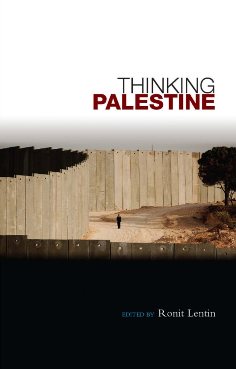 Cover image for book Thinking Palestine