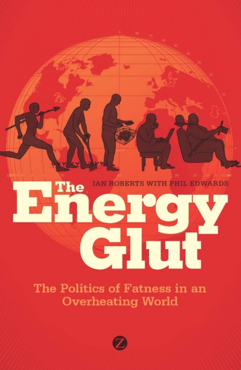 Cover image for book The Energy Glut