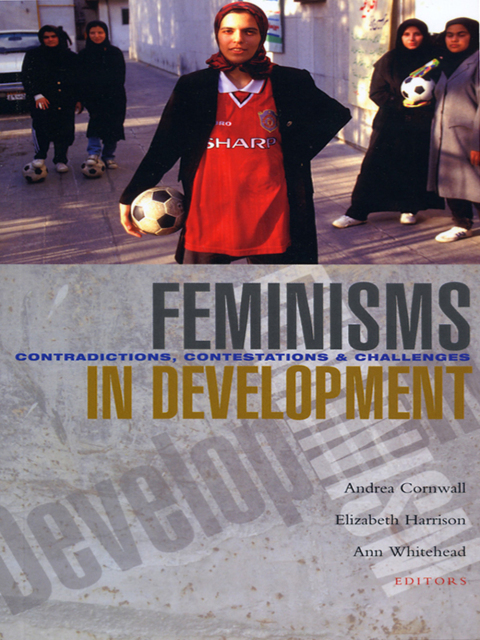 Cover image for book Feminisms in Development