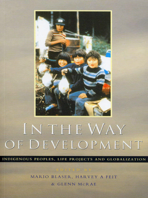 Cover image for book In the Way of Development