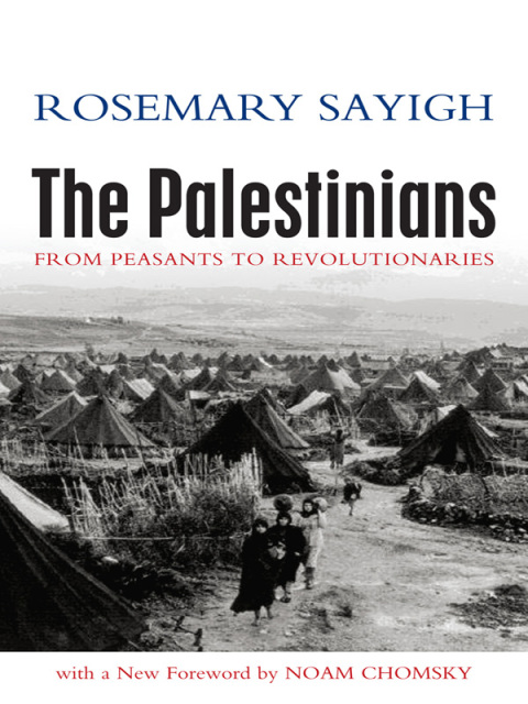 Cover image for book The Palestinians