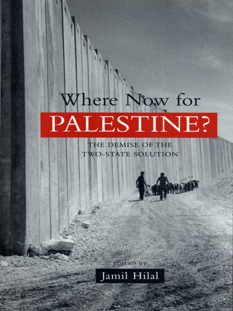 Cover image for book Where Now for Palestine?