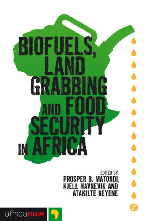 Cover image for book Biofuels, Land Grabbing and Food Security in Africa
