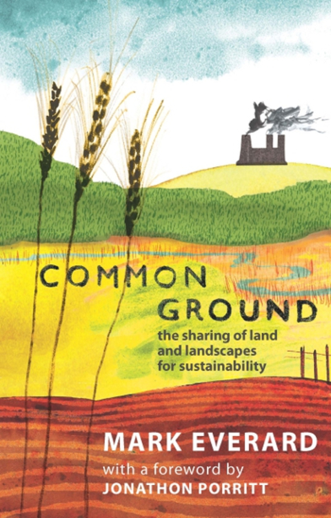 Cover image for book Common Ground