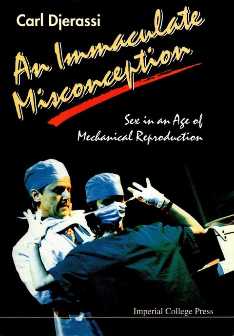 Cover image for book IMMACULATE MISCONCEPTION,AN