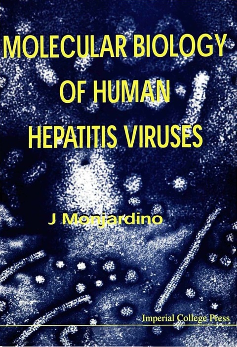 Cover image for book MOLECULAR BIOLOGY OF HUMAN HEPATITIS...