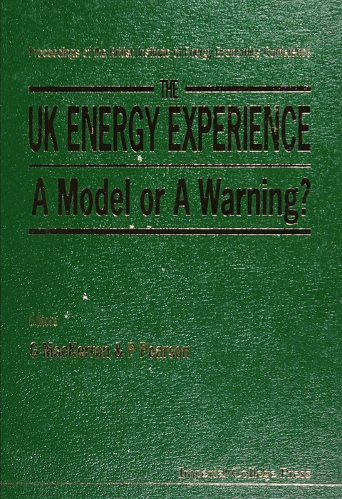 Cover image for book UK ENERGY EXPERIENCE, THE
