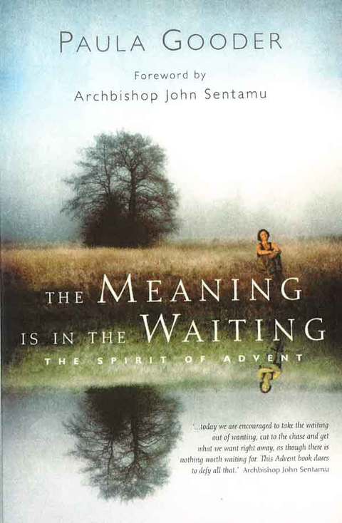 Cover image for book The Meaning is in the Waiting