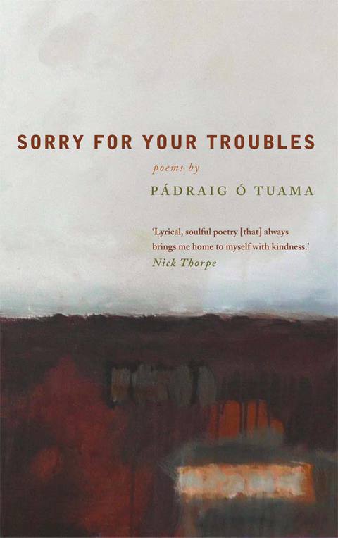 Cover image for book Sorry For Your Troubles