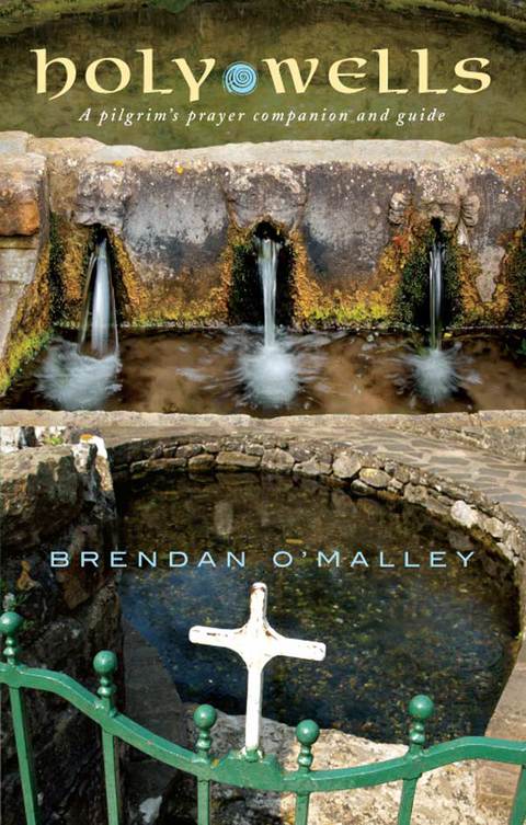 Cover image for book Holy Wells