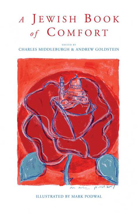 Cover image for book A Jewish Book of Comfort