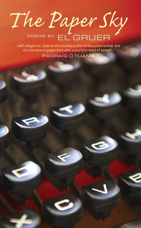 Cover image for book The Paper Sky