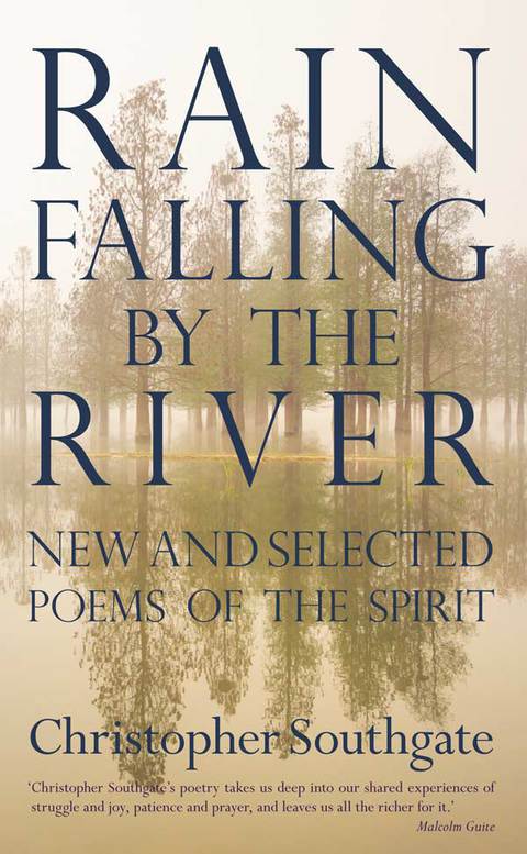 Cover image for book Rain Falling by the River