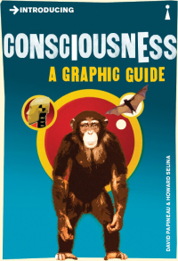 Cover image: Introducing Consciousness 9781848311718