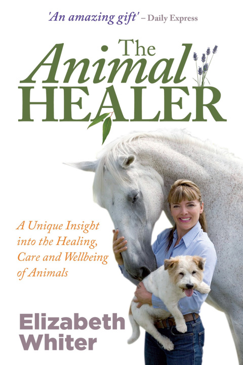 Cover image for book The Animal Healer