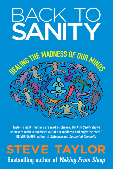 Cover image for book Back to Sanity
